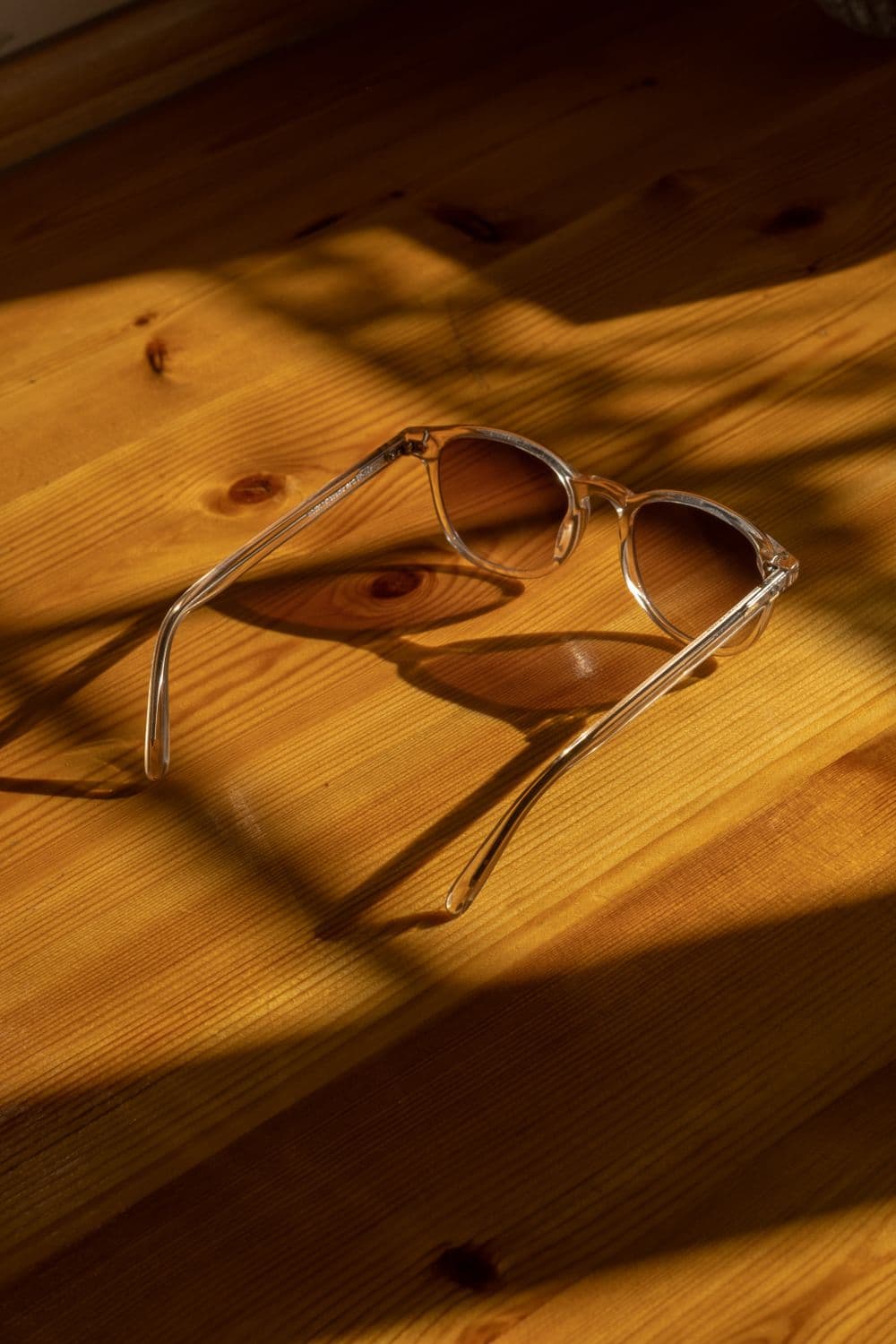 Sunlit Everyday Sunglasses